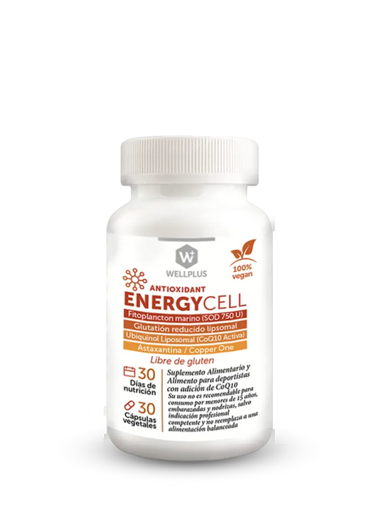 Energy Cell